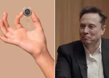 Blindsight- el chip de Elon Musk que podría devolver la vista